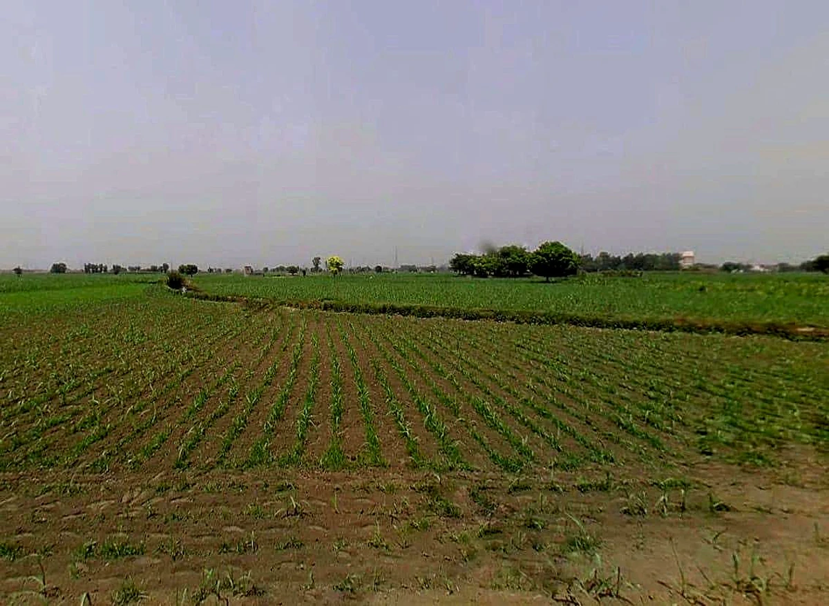 Jansath, Uttar Pradesh 251314, India