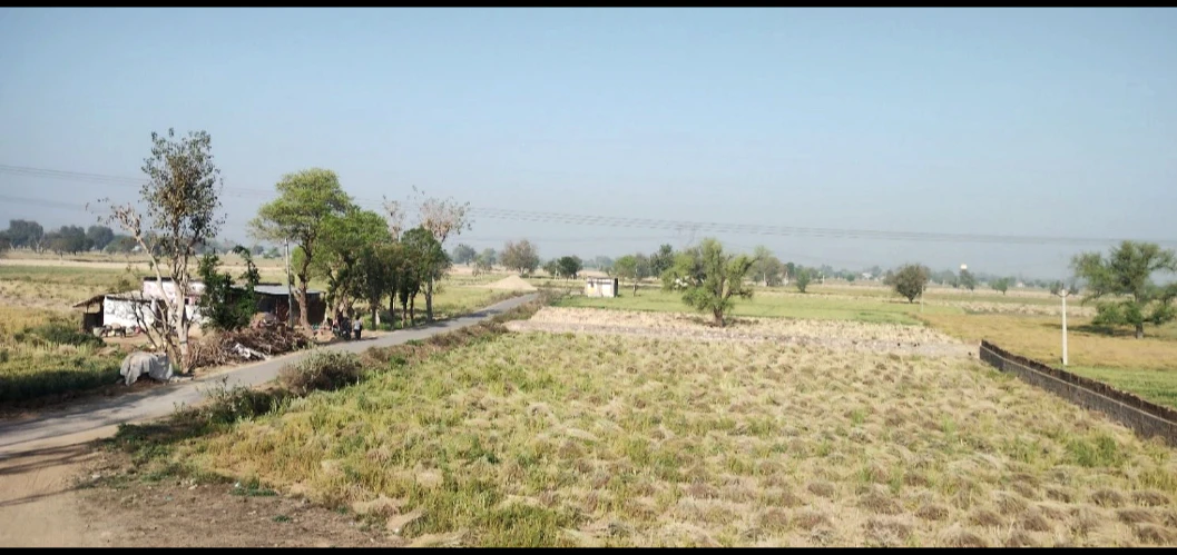 Deenar, Lachhmangarh, Alwar, Rajasthan, India
