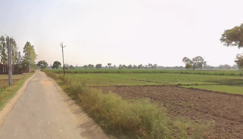 Kila Parikshit Garh Rd, Coral Spring Colony, Abdullapur, Uttar Pradesh, India