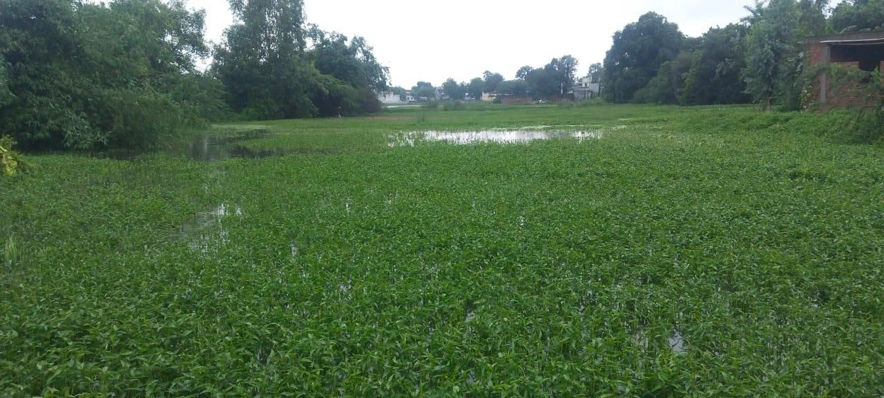 Soraon, Prayagraj, Uttar Pradesh, India