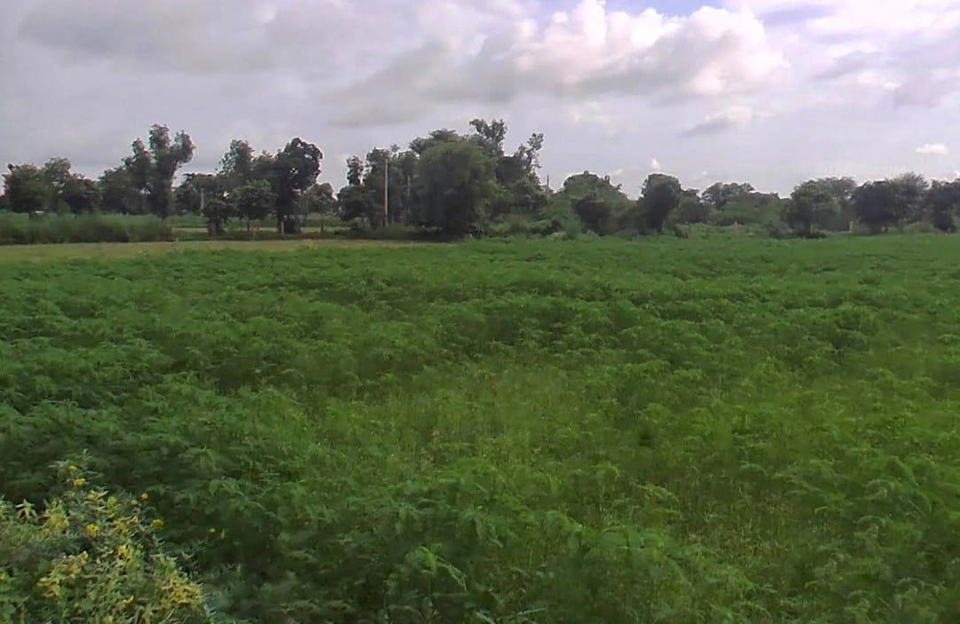 2HG4+C5C, RJSH 23, Bokauli, Rajasthan 321404, India