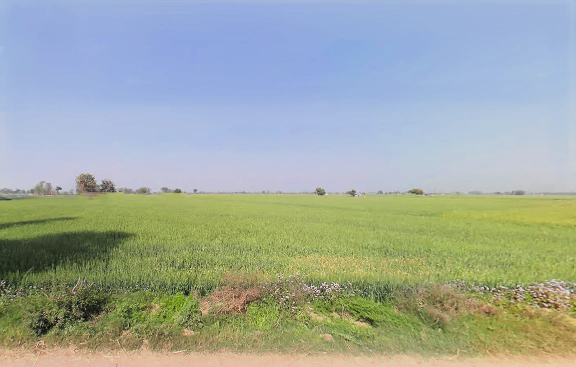 Sheikhpura, Haryana 131101, India