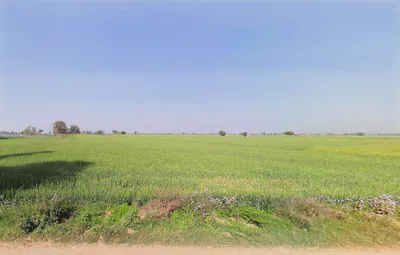 Sheikhpura, Haryana 131101, India preview 3