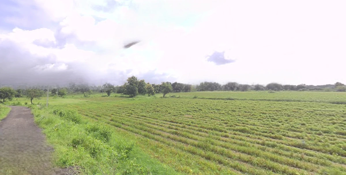 QCHW+2G Vanagla, Gujarat, India