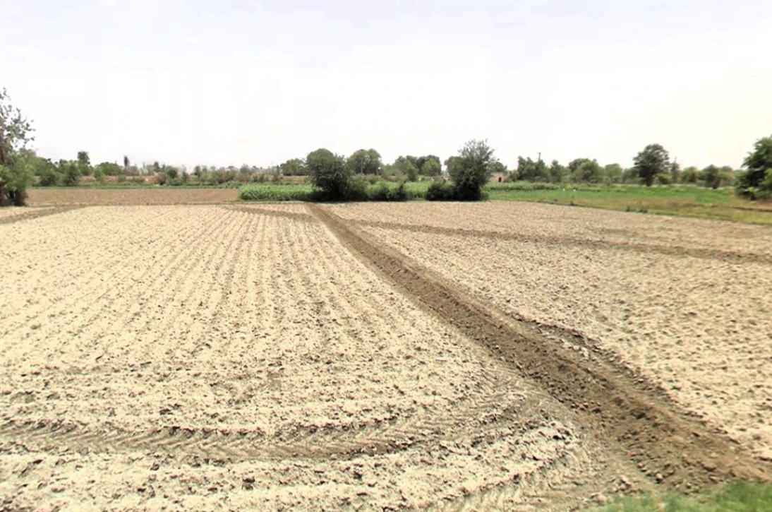 Sonipat, Haryana, India