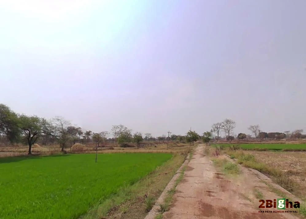 Gobra, Chhattisgarh, India