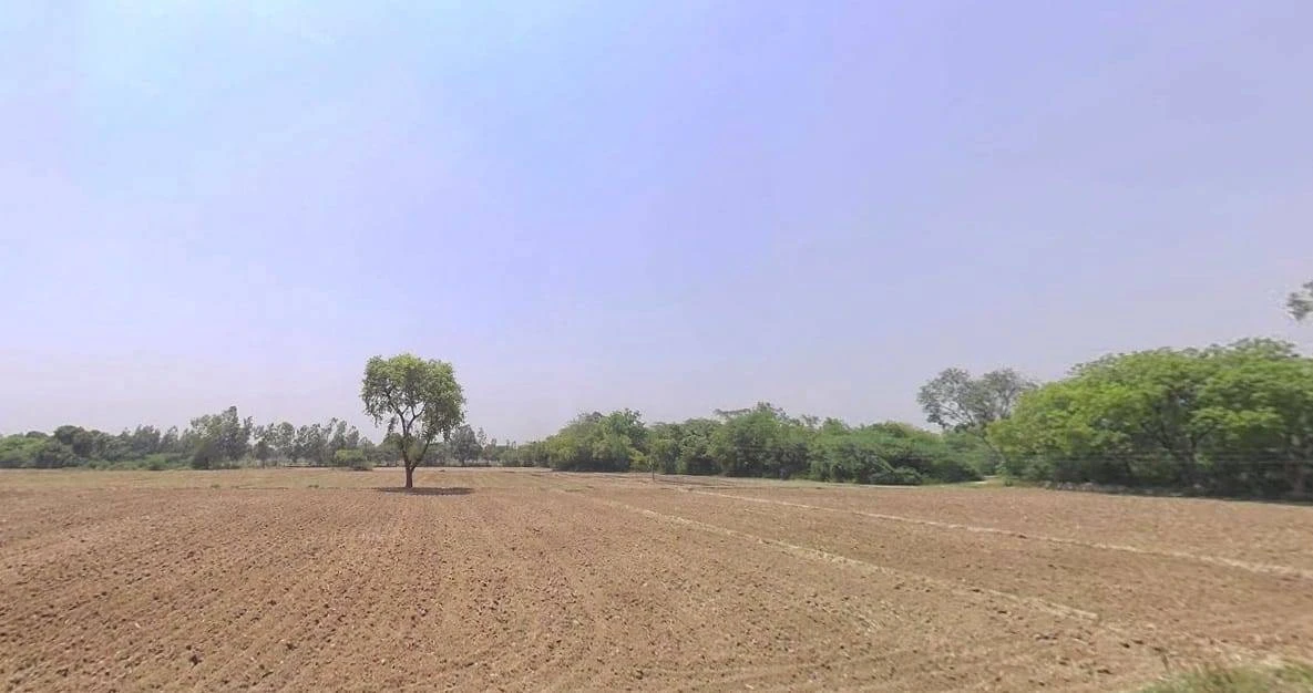 Nimeda, Rajasthan 303005, India