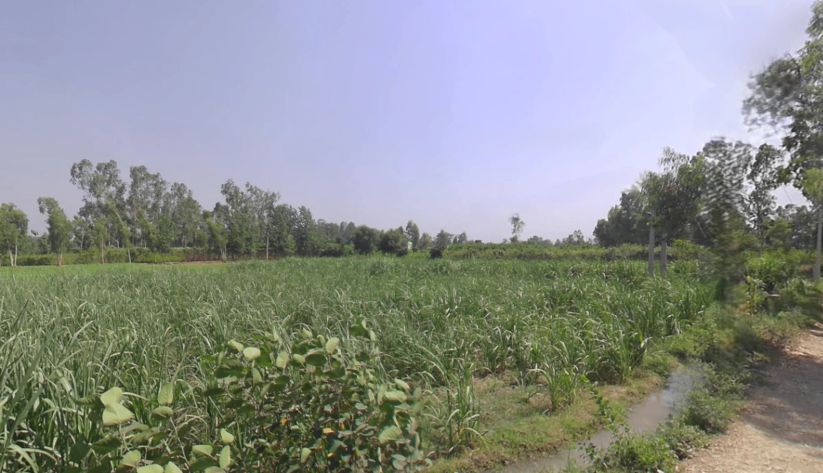 Moradabad, Uttar Pradesh, India