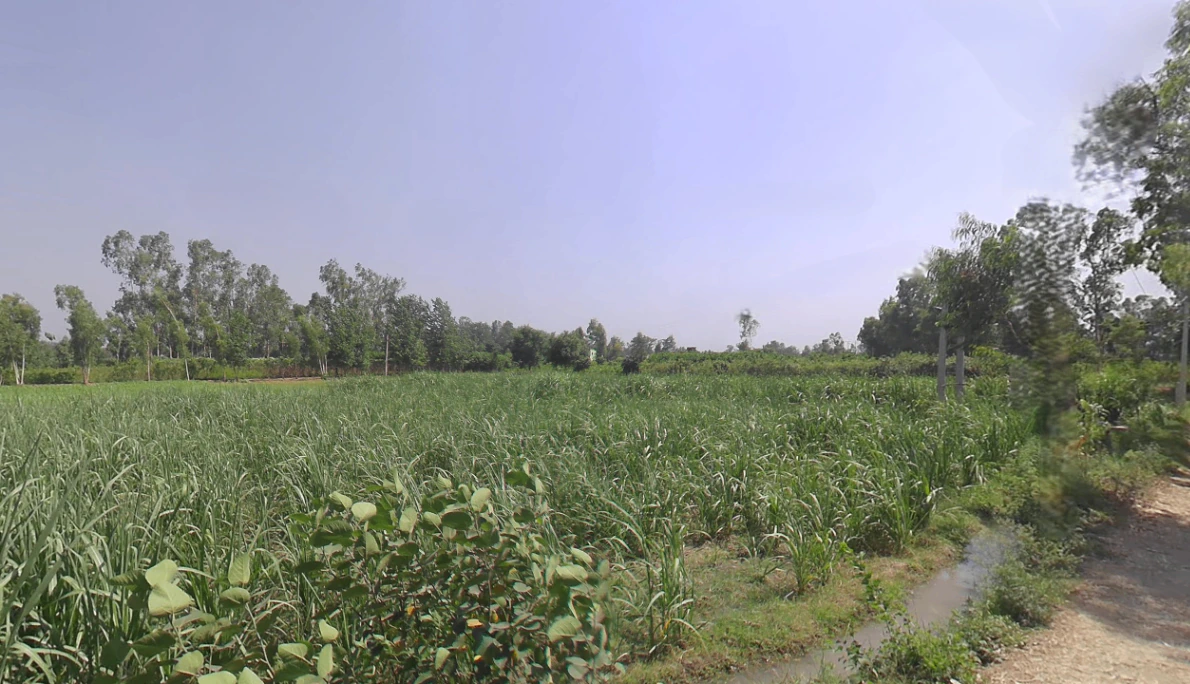 Moradabad, Uttar Pradesh, India