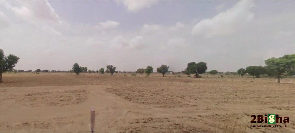 Bhanawatawala, Rajasthan 334808, India