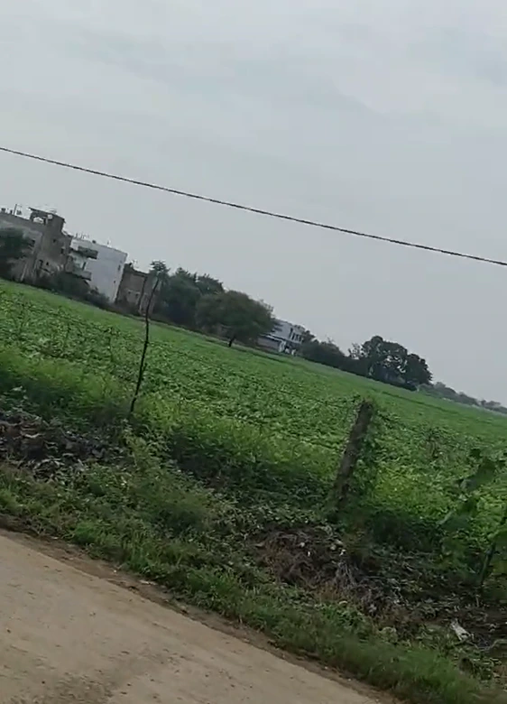 Ujjaini, Indore, Madhya Pradesh, India