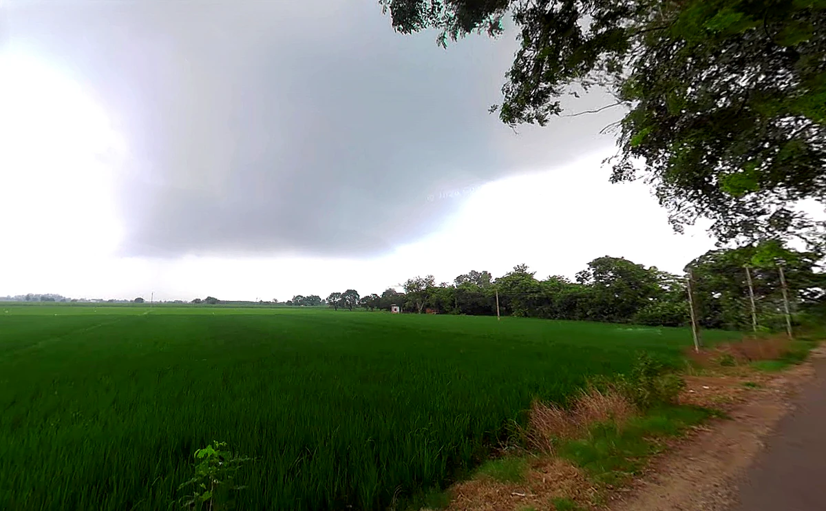 Jagadhri, Haryana, India