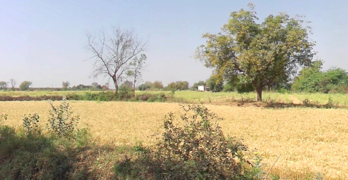 Balgaon, Madhya Pradesh 451228, India