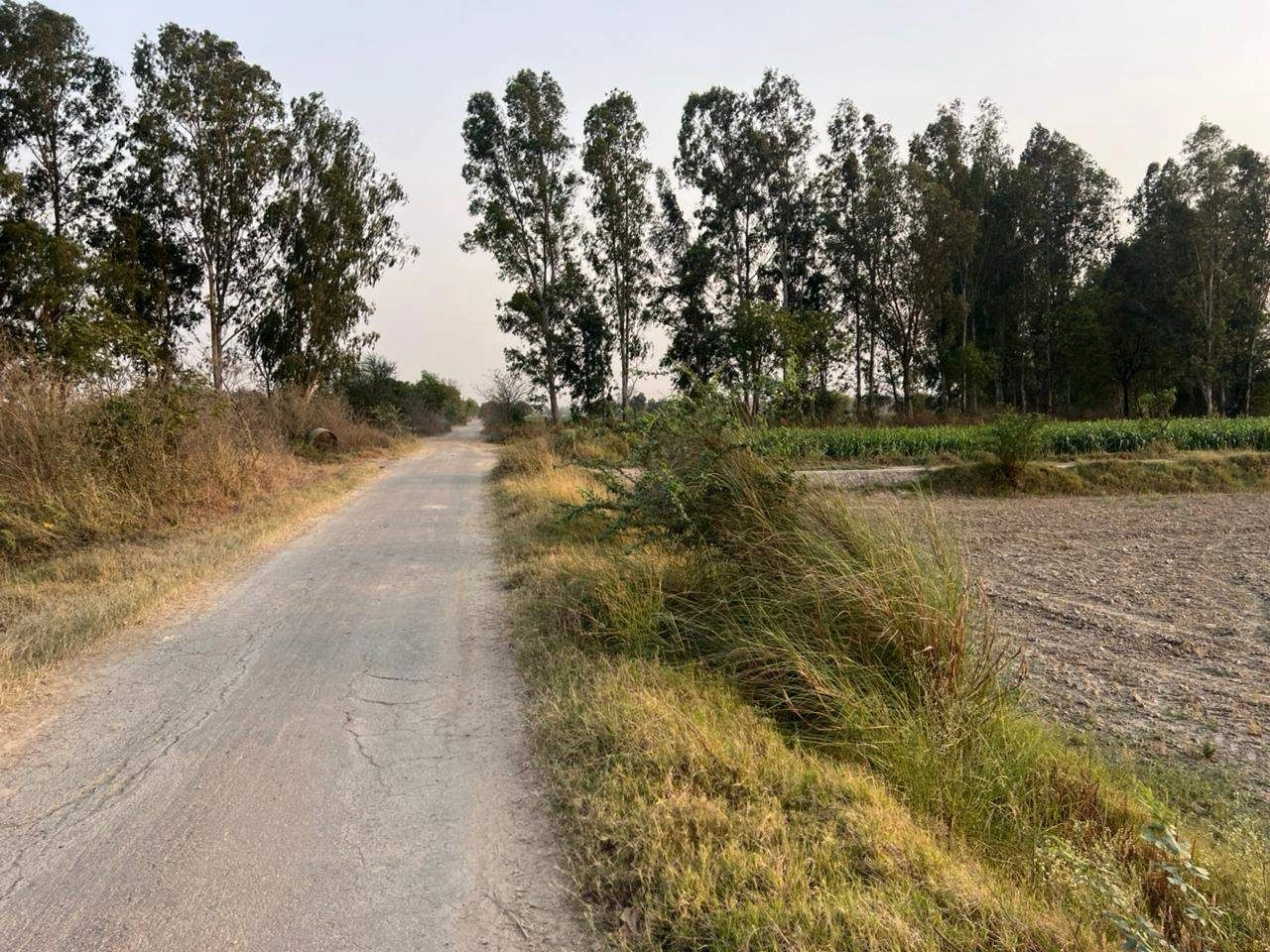 Saidpur, Nizampur Khurd, Haryana 131402, India