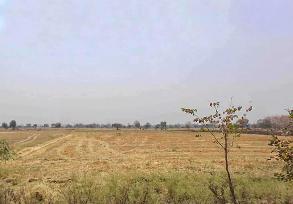 2RJH+FV Bothiya Kalan, Madhya Pradesh, India