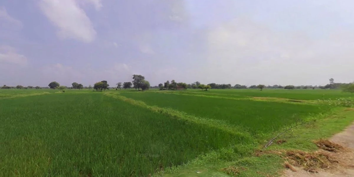 Tarana, Madhya Pradesh 456665, India