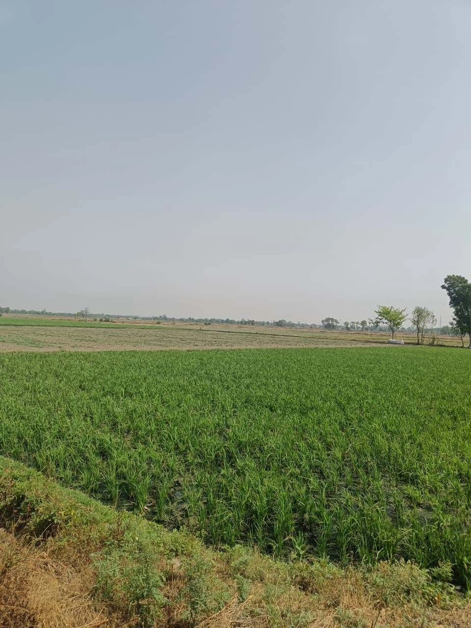 Aou, Rajasthan, India preview 3