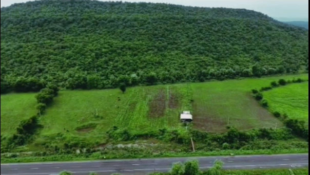Sherpur, Dehradun, Uttarakhand, India