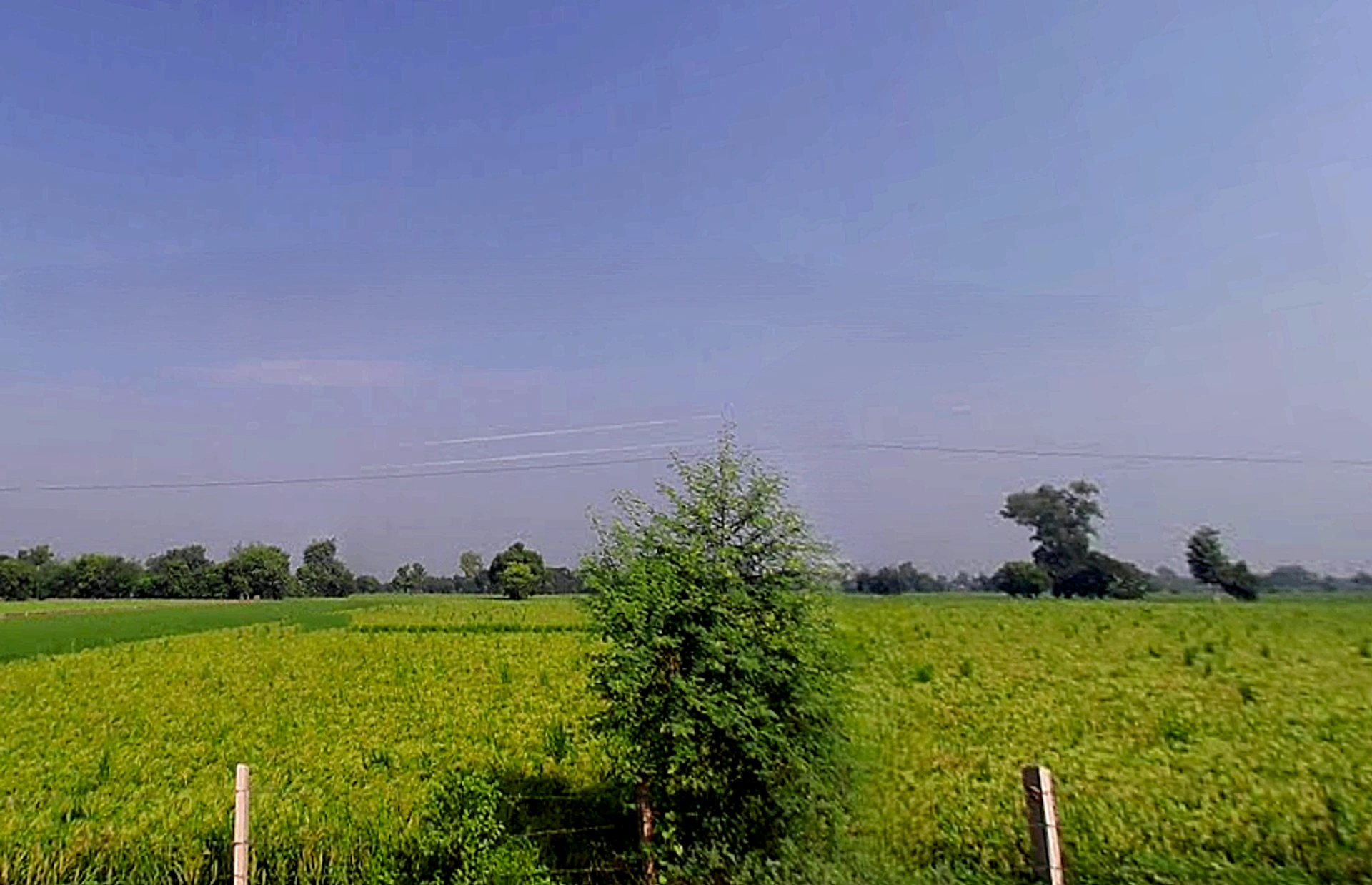 Ral, Uttar Pradesh, India