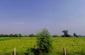 Ral, Uttar Pradesh, India preview 2