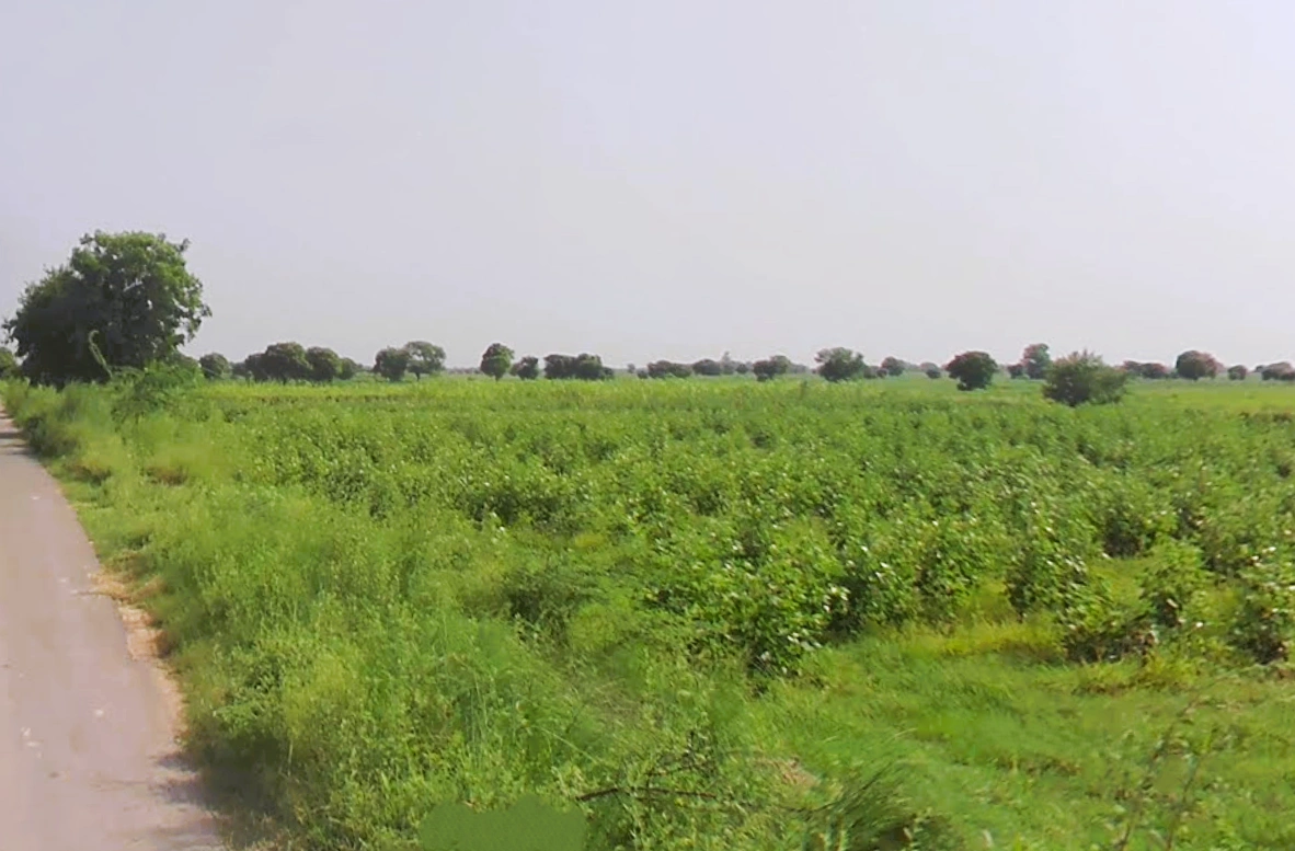 Sohna, Haryana 122103, India