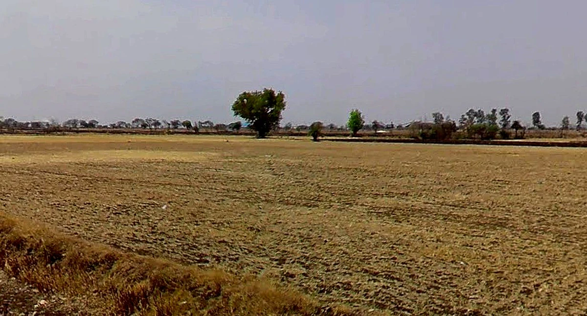 52PR+VQC, Rafiqueganj, Madhya Pradesh 466001, India