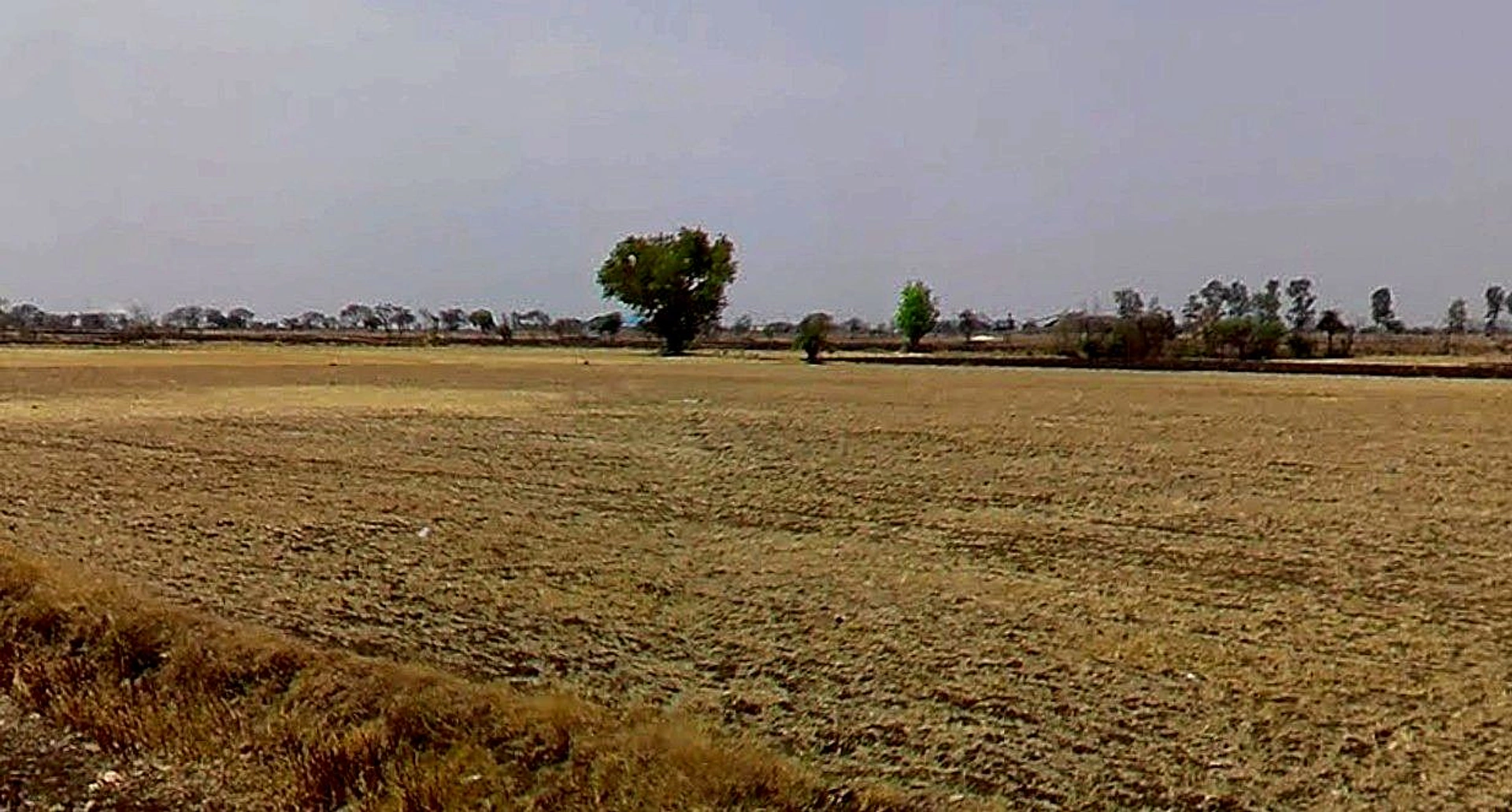 52PR+VQC, Rafiqueganj, Madhya Pradesh 466001, India