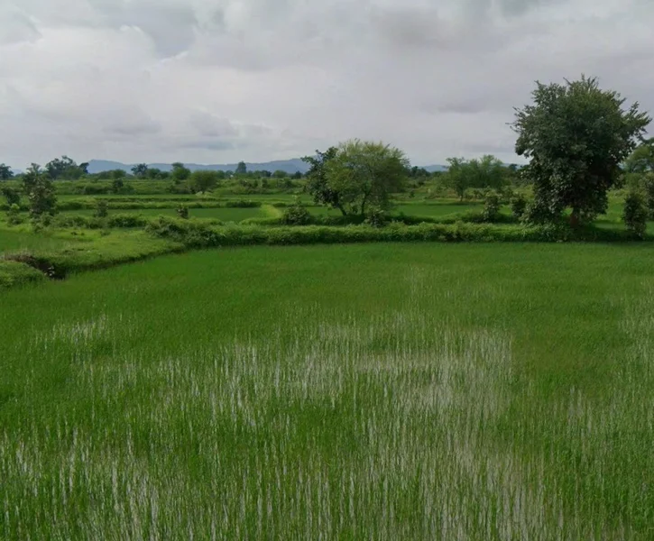 Khamariya, Chhattisgarh 490020, India preview 3