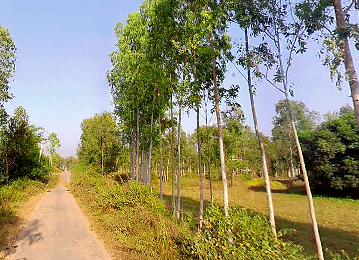 Bhagwanpur, Uttarakhand 247661, India