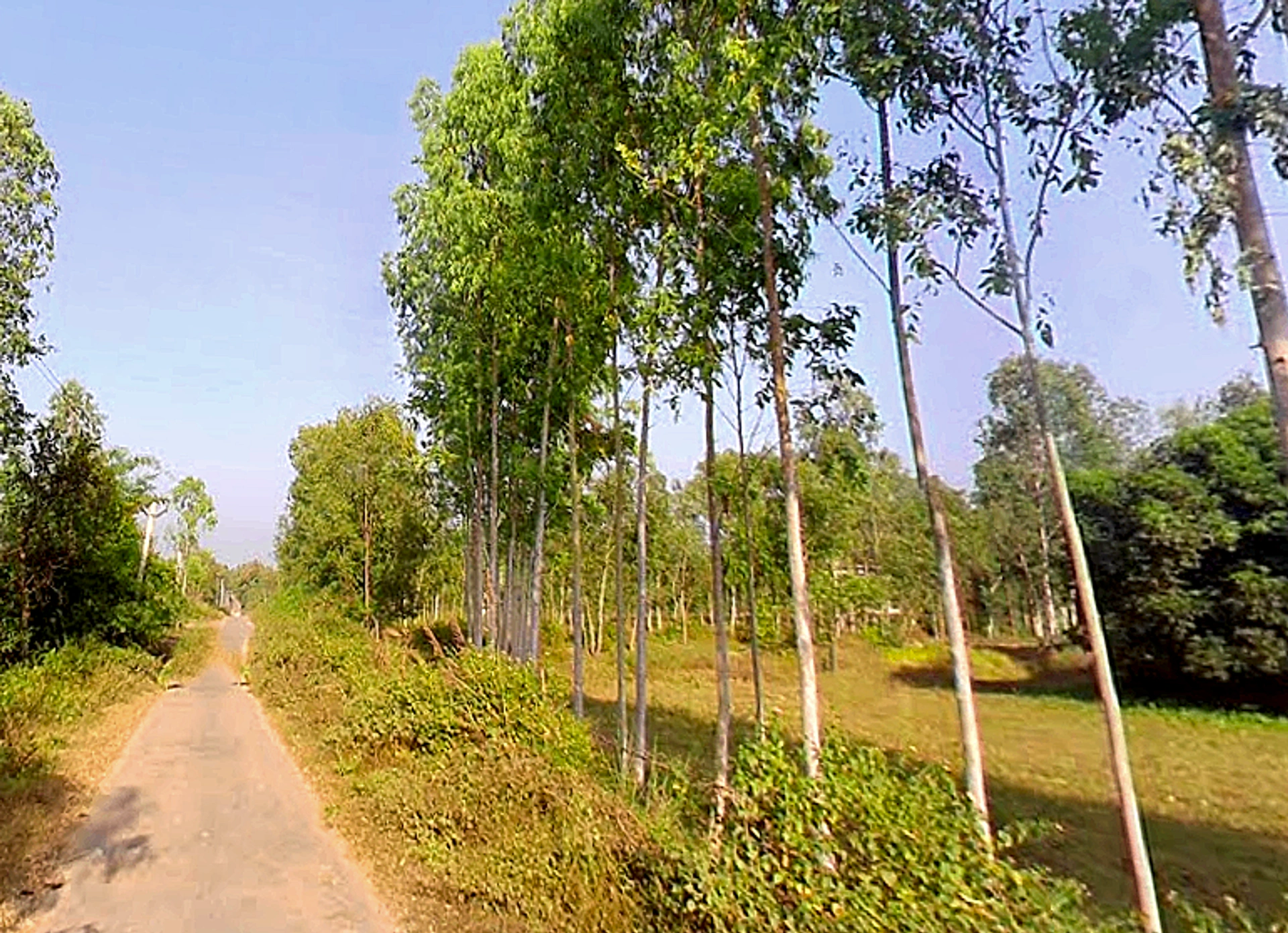 Bhagwanpur, Uttarakhand 247661, India