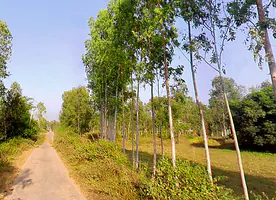 Bhagwanpur, Uttarakhand 247661, India preview 3