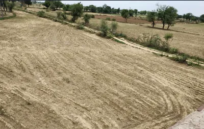 Ghilot, Rajasthan 301705, India preview 3