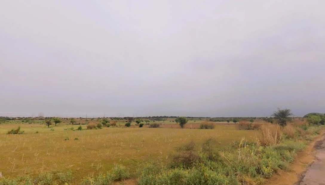 Bapora, Haryana 127111, India
