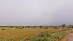 Bapora, Haryana 127111, India preview 2
