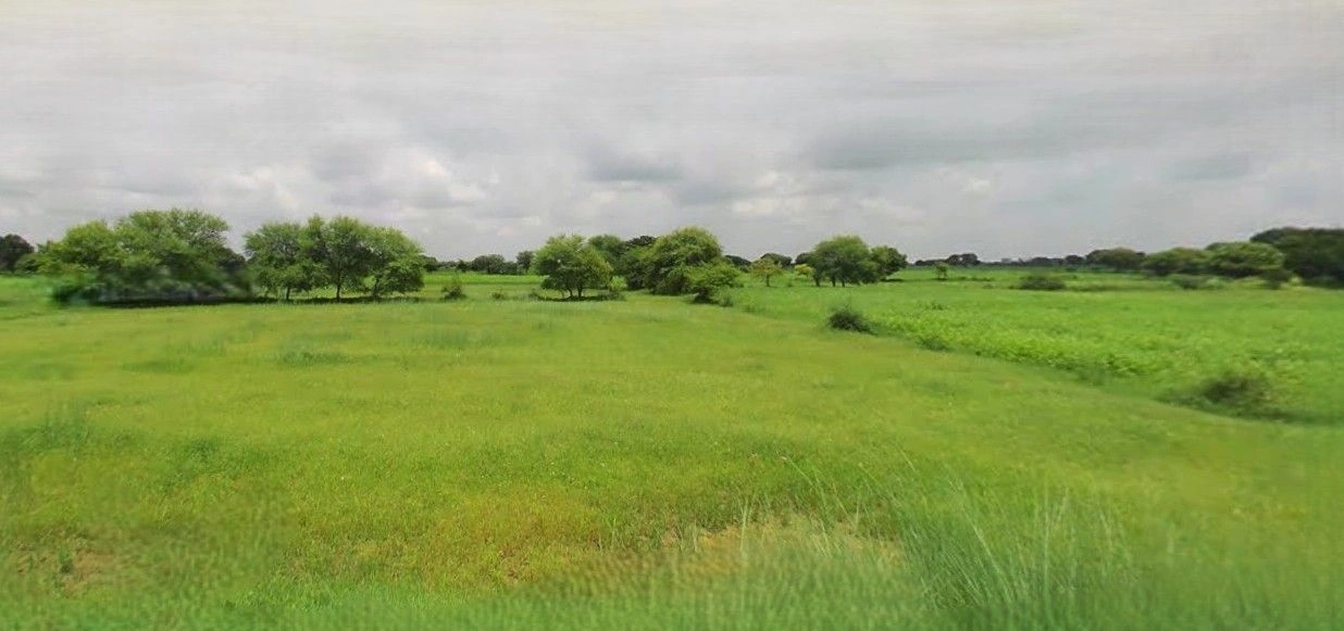 Gunnaur, Uttar Pradesh 243722, India