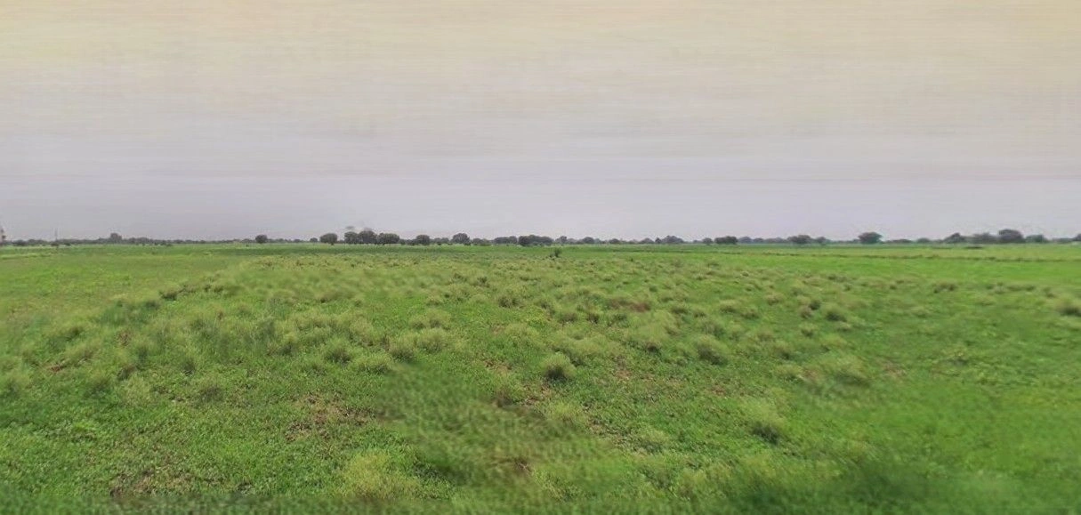 Q2XC+8R6, Mohsin -E- Azam Colony, Civil Lines, Rampur, Uttar Pradesh 244901, India