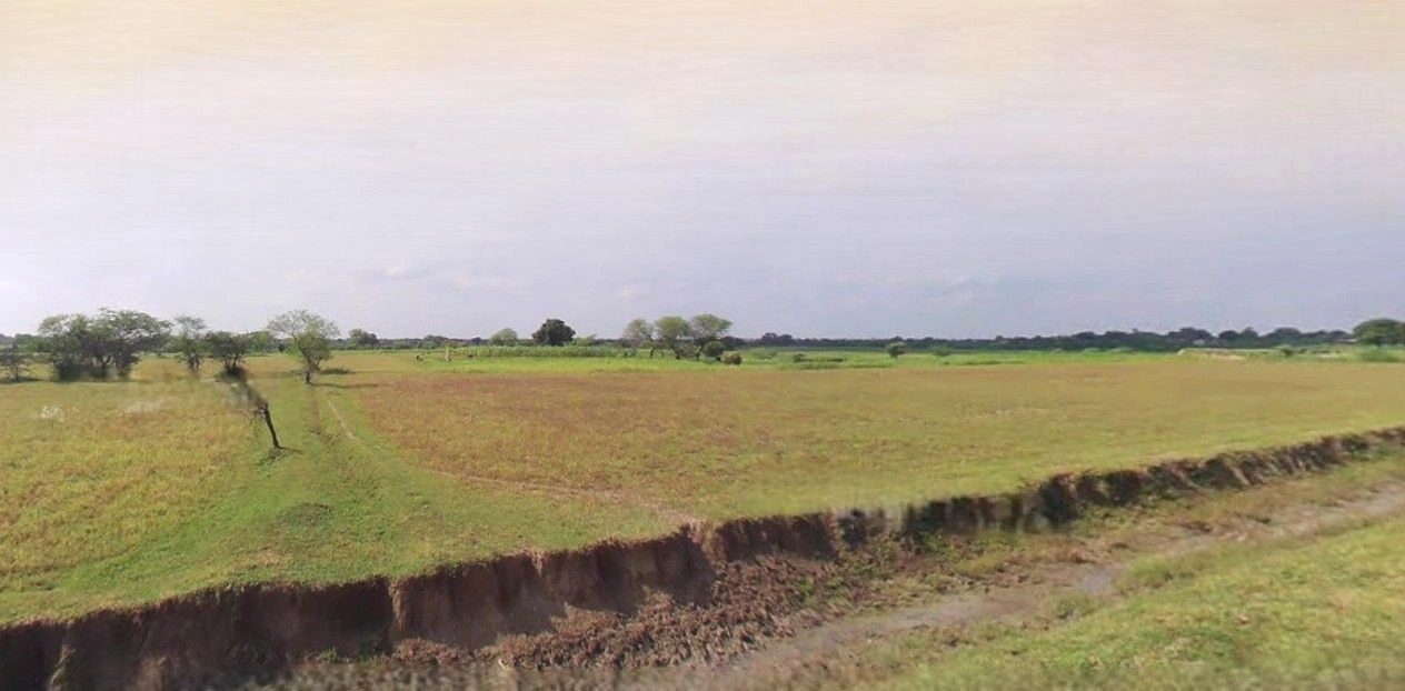 Suar, Uttar Pradesh 244924, India