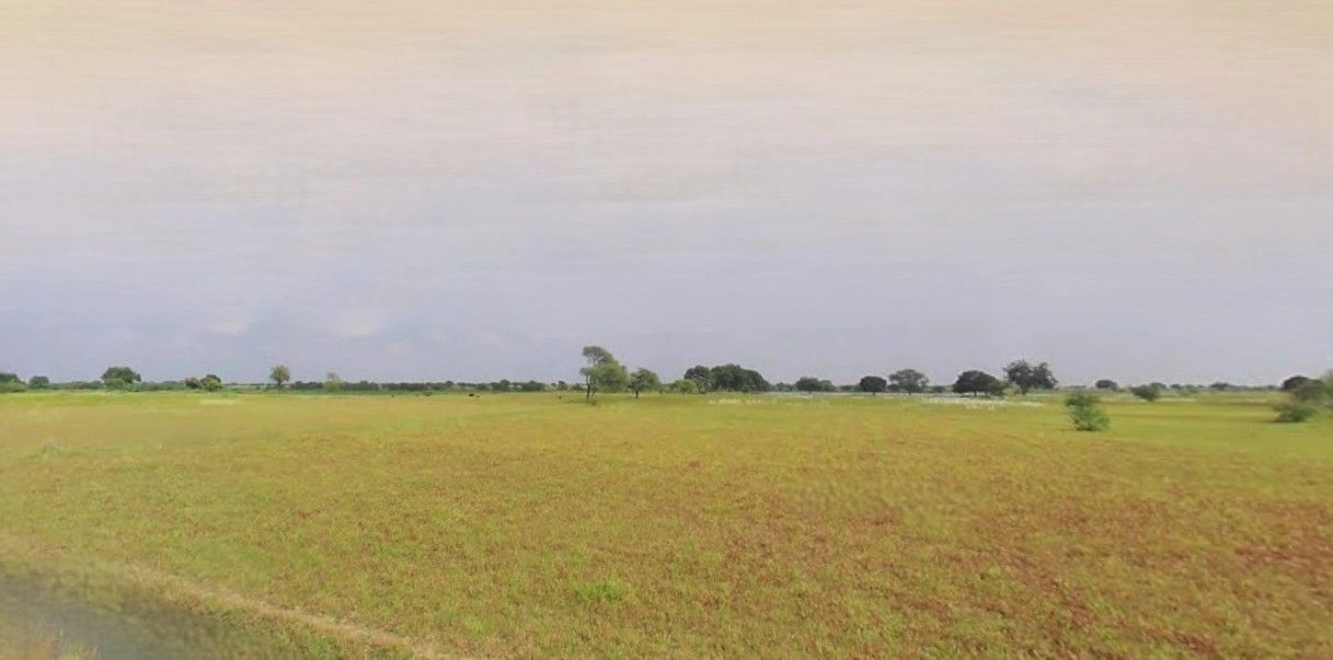 RW72+PWF, NH 9, Chamraua, Daulara, Uttar Pradesh 244104, India