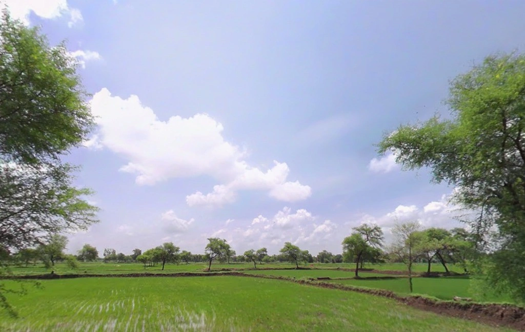 Singarpur, Chhattisgarh 493118, India