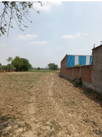 Mirzapur, Uttar Pradesh 247121, India