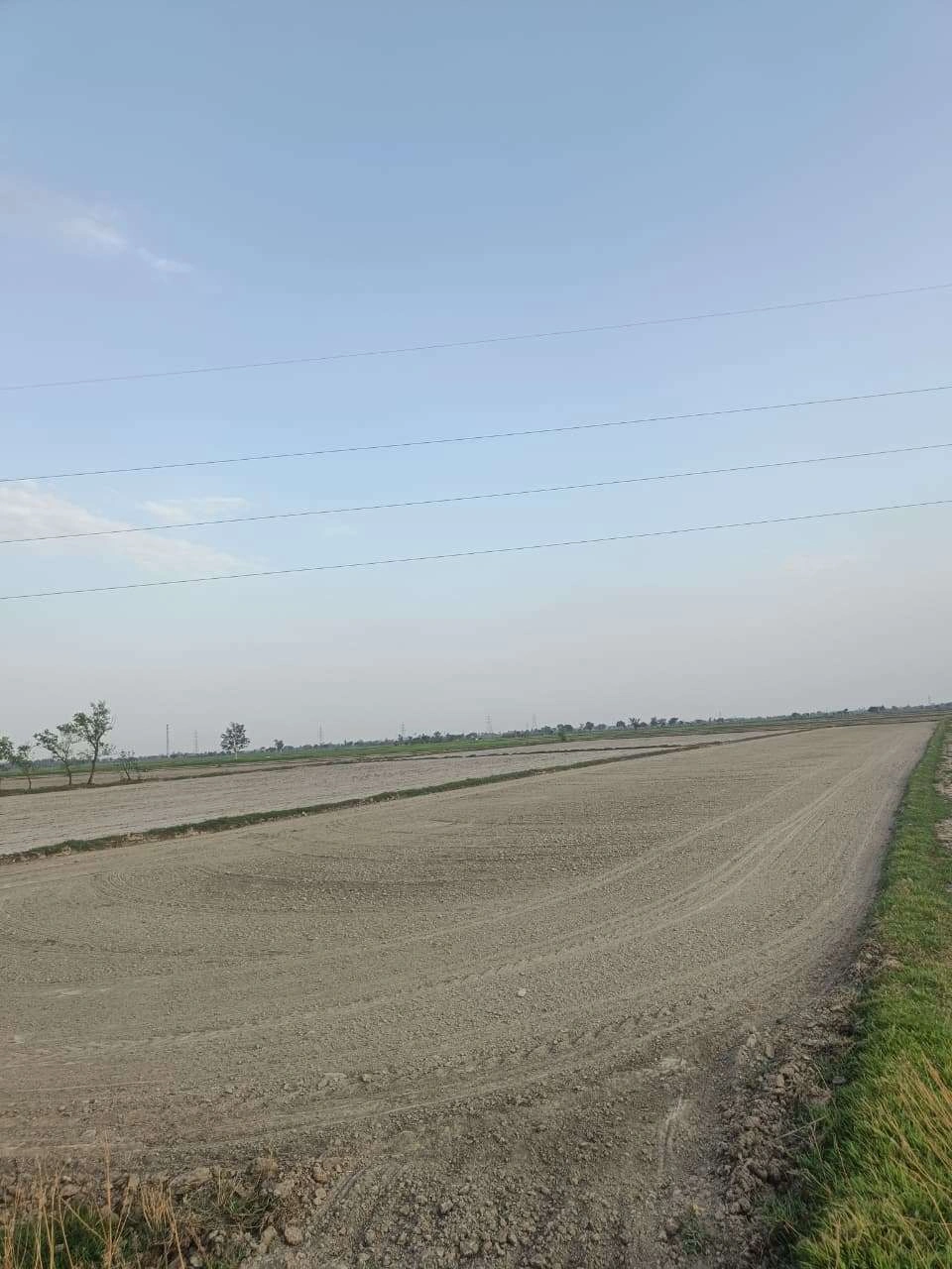 Sankhi, Uttar Pradesh 281401, India