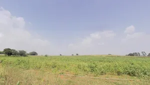 Kheri Bura, Haryana 127306, India preview 2