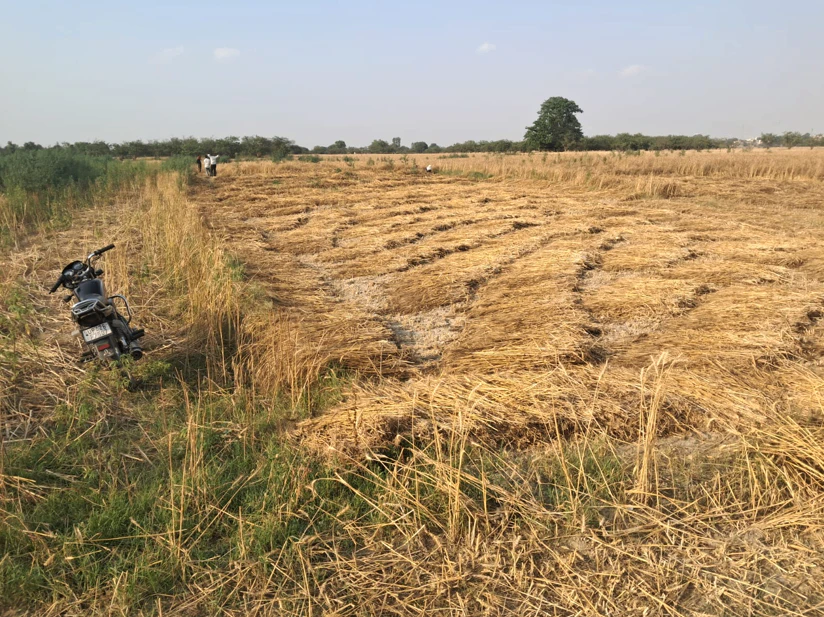 Barnagar, Madhya Pradesh 456771, India