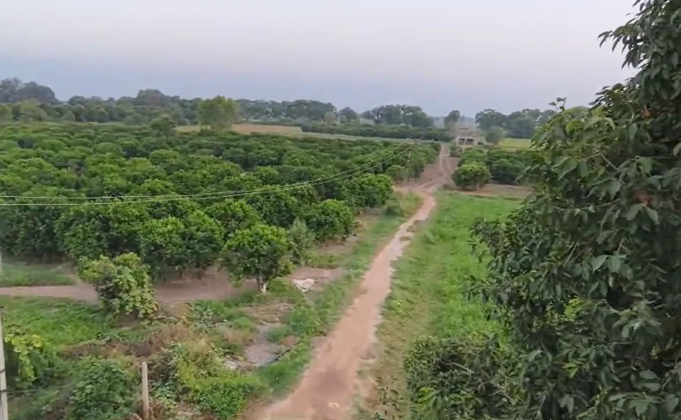 Rawalwas Khurd, Haryana 125004, India preview 2