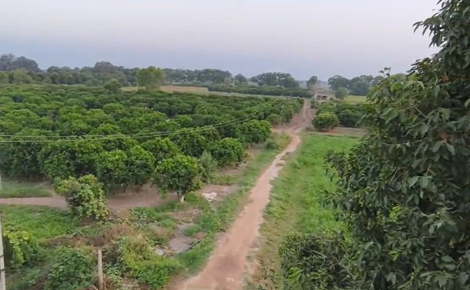 Rawalwas Khurd, Haryana 125004, India