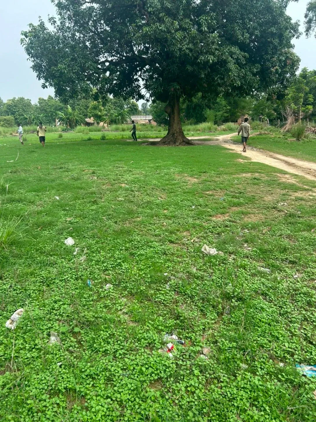 Mankapur-Sadullah Nagar Road, Gonda, Chaubepur, Uttar Pradesh, India