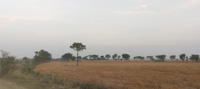Sikandrabad, Uttar Pradesh 203205, India preview 2
