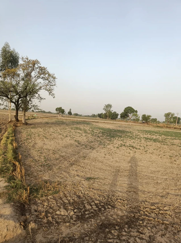 Bareli, Madhya Pradesh, India
