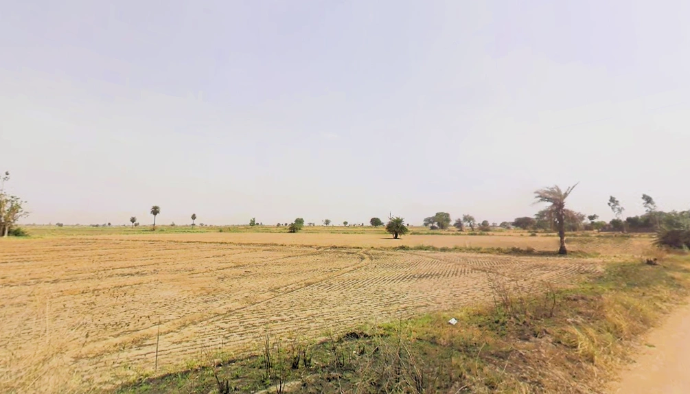 Sohna, Haryana 122103, India