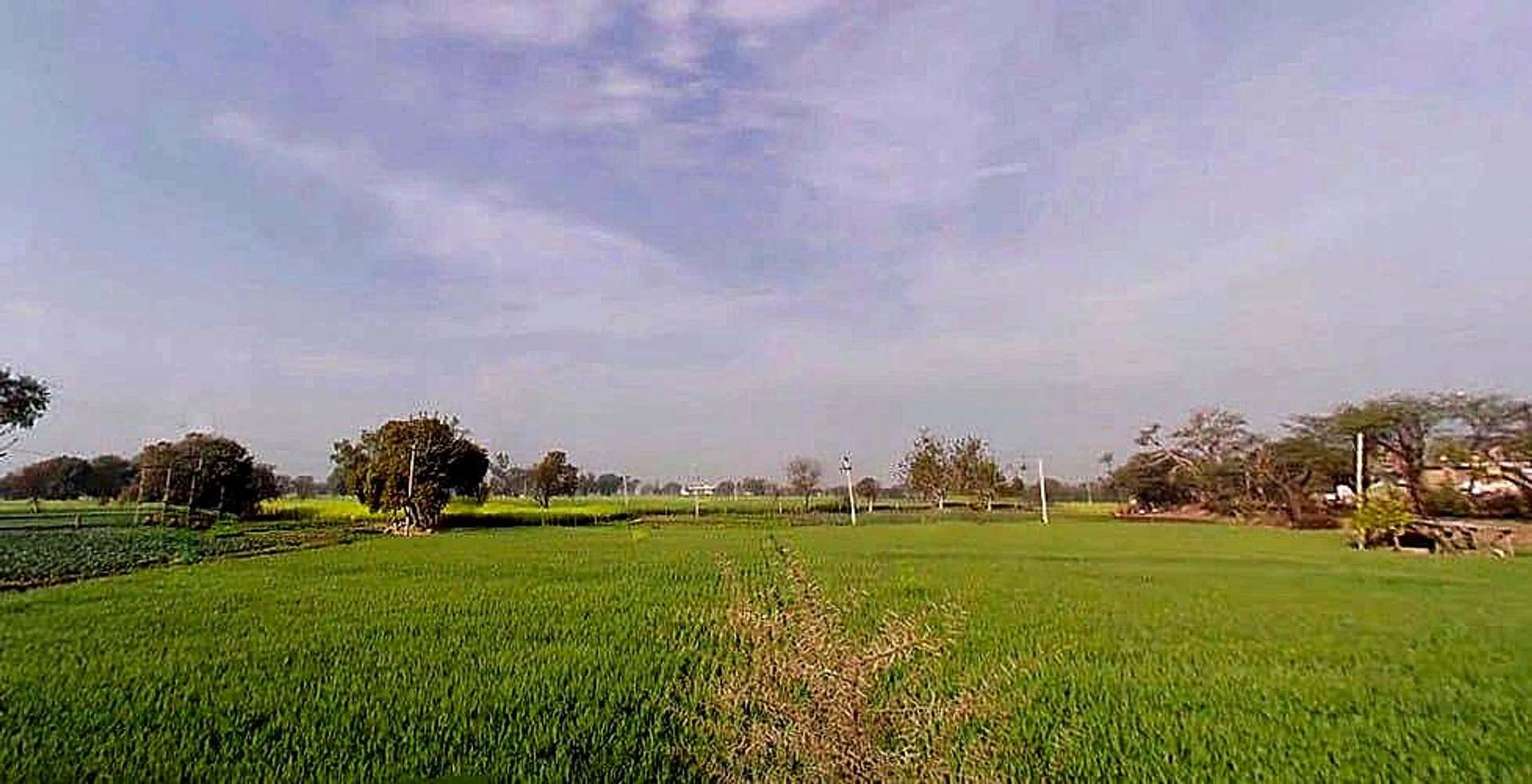 Hadarhera, Rajasthan 301021, India